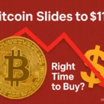 Bitcoin Slides to $115 | Why Bitcoin Dropped After Record High